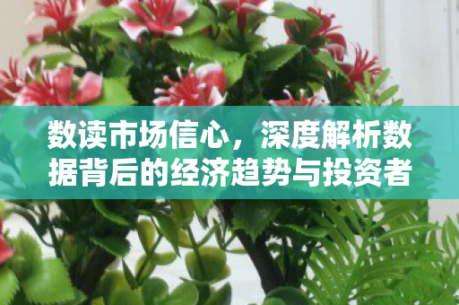 数读市场信心，深度解析数据背后的经济趋势与投资者情绪