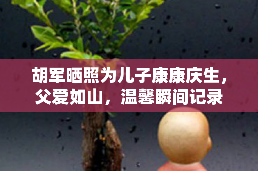 胡军晒照为儿子康康庆生，父爱如山，温馨瞬间记录