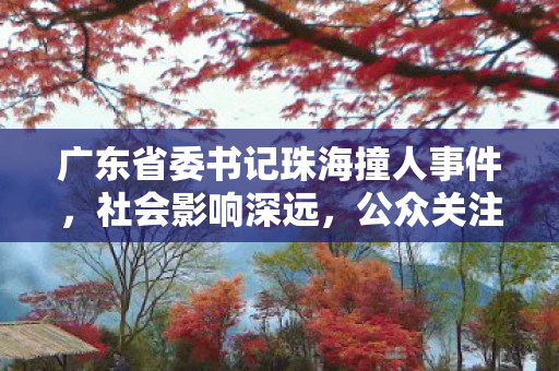 广东省委书记珠海撞人事件，社会影响深远，公众关注度极高