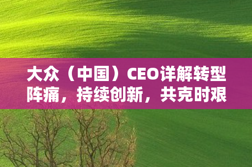 大众（中国）CEO详解转型阵痛，持续创新，共克时艰