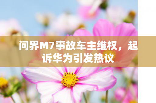 问界M7事故车主维权，起诉华为引发热议