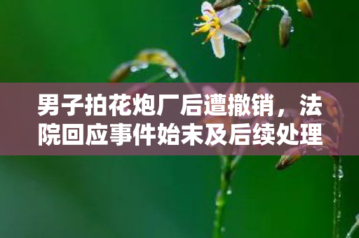 男子拍花炮厂后遭撤销，法院回应事件始末及后续处理