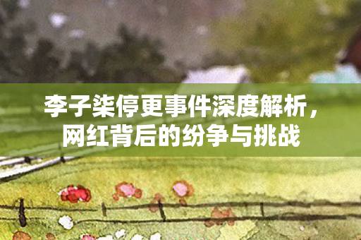 李子柒停更事件深度解析，网红背后的纷争与挑战