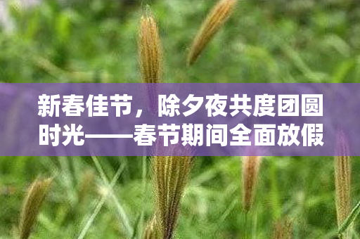新春佳节，除夕夜共度团圆时光——春节期间全面放假安排