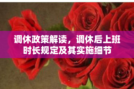 调休政策解读，调休后上班时长规定及其实施细节