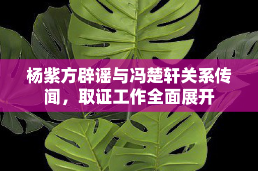 杨紫方辟谣与冯楚轩关系传闻，取证工作全面展开