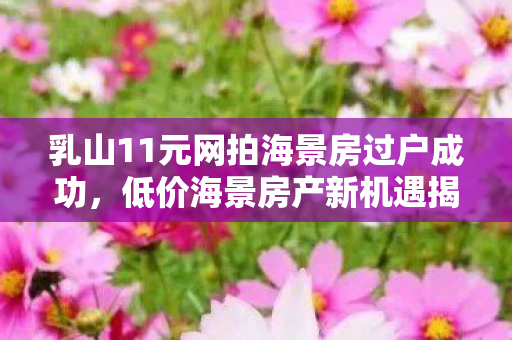 乳山11元网拍海景房过户成功，低价海景房产新机遇揭秘