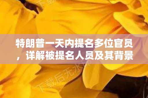 特朗普一天内提名多位官员，详解被提名人员及其背景
