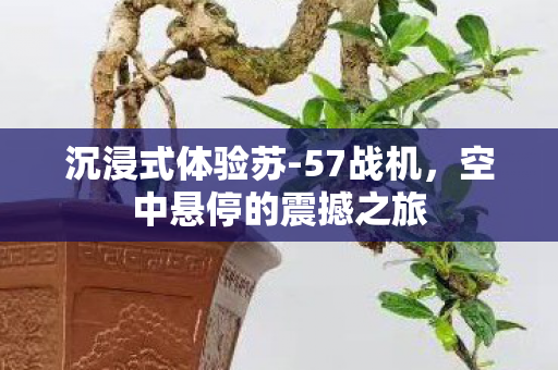 沉浸式体验苏-57战机，空中悬停的震撼之旅