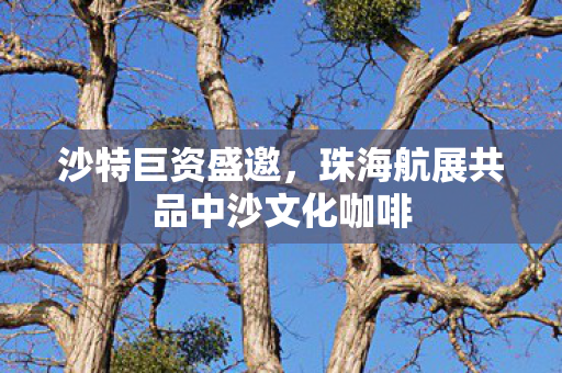沙特巨资盛邀，珠海航展共品中沙文化咖啡