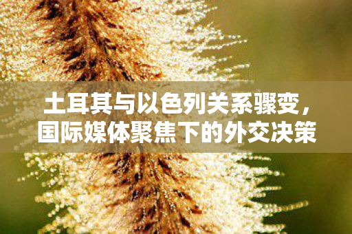 土耳其与以色列关系骤变，国际媒体聚焦下的外交决策