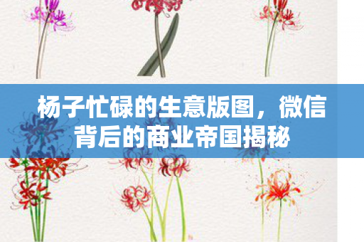 杨子忙碌的生意版图，微信背后的商业帝国揭秘