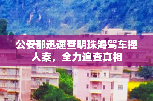 公安部迅速查明珠海驾车撞人案，全力追查真相
