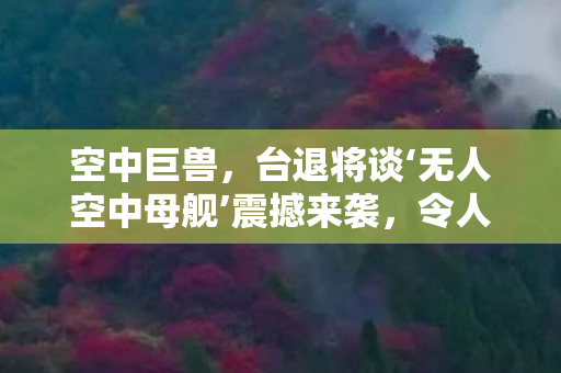 空中巨兽，台退将谈‘无人空中母舰’震撼来袭，令人胆颤！