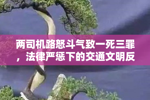 两司机路怒斗气致一死三罪，法律严惩下的交通文明反思