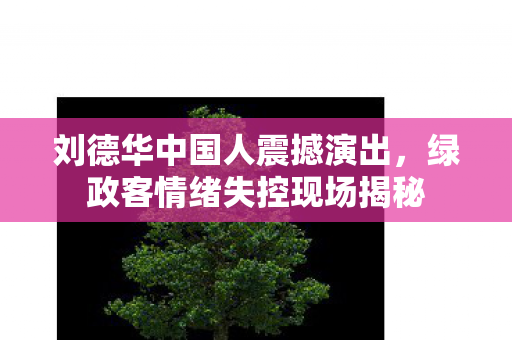刘德华中国人震撼演出，绿政客情绪失控现场揭秘