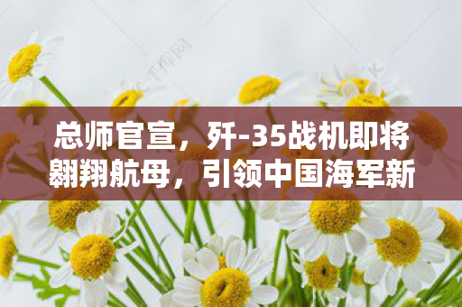 总师官宣，歼-35战机即将翱翔航母，引领中国海军新篇章