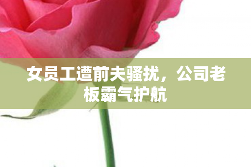 女员工遭前夫骚扰，公司老板霸气护航