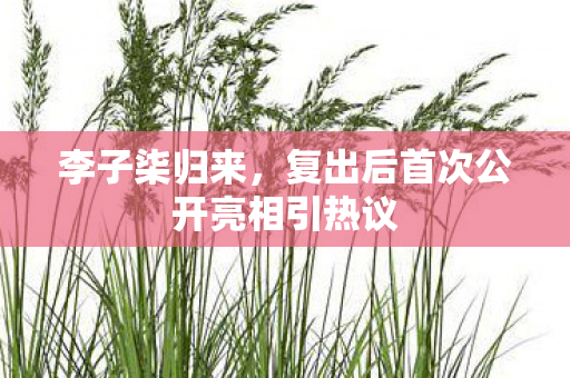 李子柒归来，复出后首次公开亮相引热议