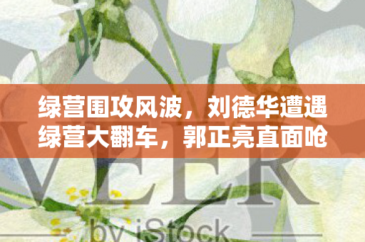 绿营围攻风波，刘德华遭遇绿营大翻车，郭正亮直面呛声揭真相