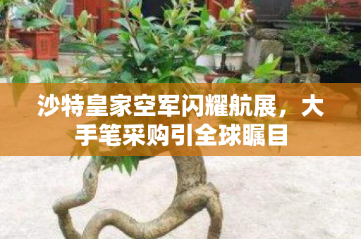 沙特皇家空军闪耀航展，大手笔采购引全球瞩目