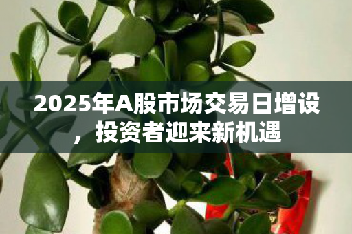 2025年A股市场交易日增设，投资者迎来新机遇