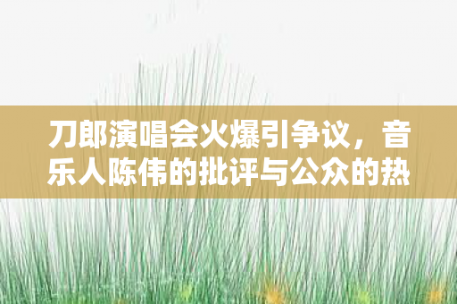 刀郎演唱会火爆引争议，音乐人陈伟的批评与公众的热烈反响