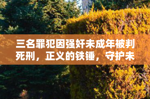 三名罪犯因强奸未成年被判死刑，正义的铁锤，守护未成年人的尊严与安全