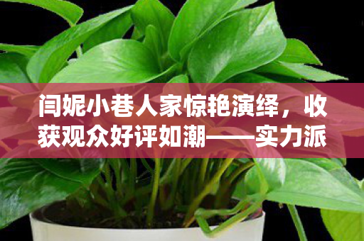 闫妮小巷人家惊艳演绎，收获观众好评如潮——实力派演员的魅力展现