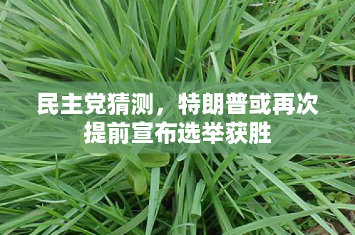 民主党猜测，特朗普或再次提前宣布选举获胜