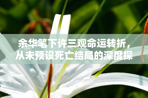 余华笔下许三观命运转折，从未预设死亡结局的深度探讨