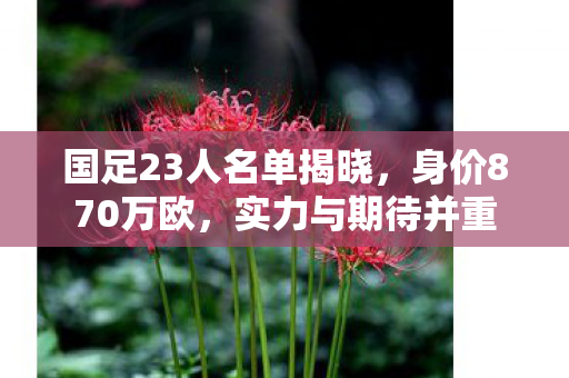 国足23人名单揭晓，身价870万欧，实力与期待并重