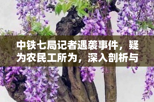 中铁七局记者遇袭事件，疑为农民工所为，深入剖析与反思