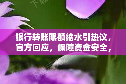银行转账限额缩水引热议，官方回应，保障资金安全，优化服务体验