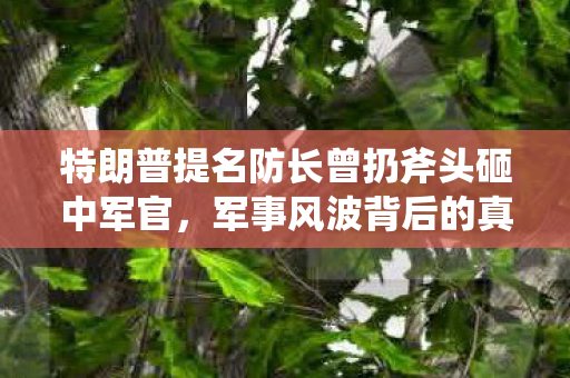 特朗普提名防长曾扔斧头砸中军官，军事风波背后的真相与反思