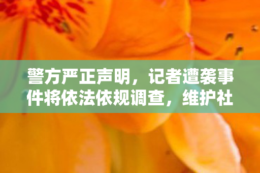 警方严正声明，记者遭袭事件将依法依规调查，维护社会公正与新闻自由