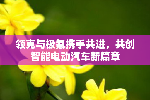 领克与极氪携手共进，共创智能电动汽车新篇章