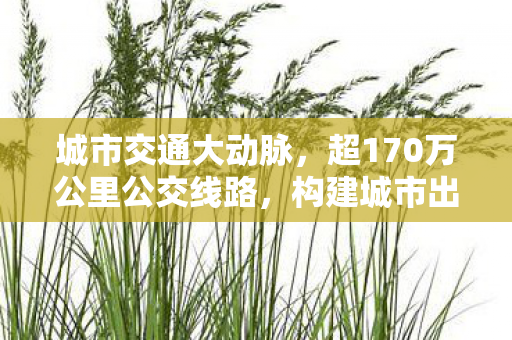 城市交通大动脉，超170万公里公交线路，构建城市出行新格局