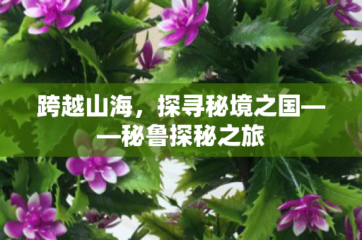 跨越山海，探寻秘境之国——秘鲁探秘之旅