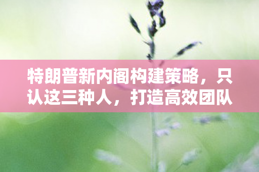 特朗普新内阁构建策略，只认这三种人，打造高效团队