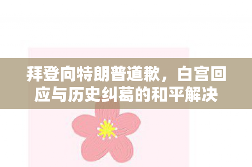 拜登向特朗普道歉，白宫回应与历史纠葛的和平解决