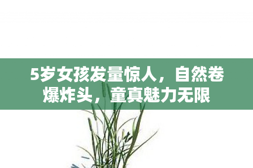 5岁女孩发量惊人，自然卷爆炸头，童真魅力无限