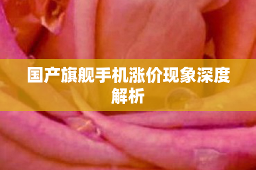 国产旗舰手机涨价现象深度解析