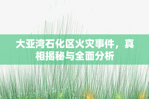 大亚湾石化区火灾事件，真相揭秘与全面分析