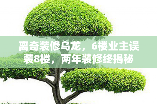 离奇装修乌龙，6楼业主误装8楼，两年装修终揭秘