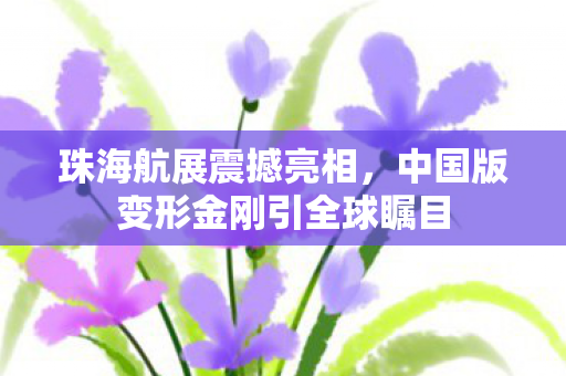 珠海航展震撼亮相，中国版变形金刚引全球瞩目