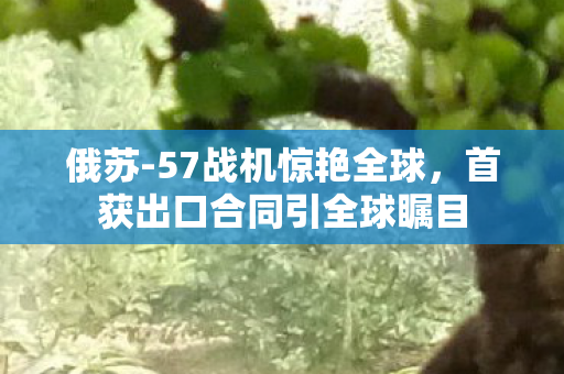 俄苏-57战机惊艳全球，首获出口合同引全球瞩目