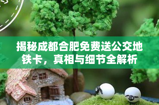 揭秘成都合肥免费送公交地铁卡，真相与细节全解析