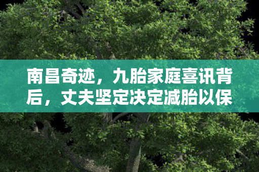 南昌奇迹，九胎家庭喜讯背后，丈夫坚定决定减胎以保障母婴安全