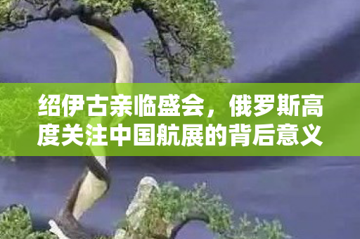 绍伊古亲临盛会，俄罗斯高度关注中国航展的背后意义